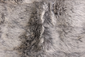 Background from natural fur. Animal Hair Background. Black and White Background.