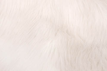 Fototapeta na wymiar Background from natural fur. Animal Hair Background. Black and White Background.