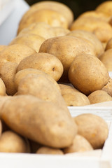 Closeup of potatoes in wooden box, concept of vegetable harvest