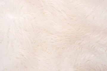 Background from natural fur. Animal Hair Background. Black and White Background.