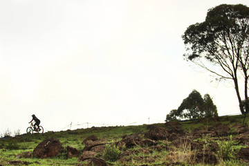 tiny silhouette of a female cyclist during a down hill race, going down on a rocky trail © CMH