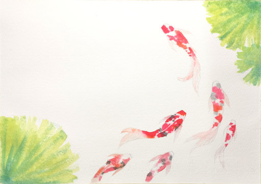 Watercolor hand painting, koi carp fishes in pond, symbol of good luck and prosperity
