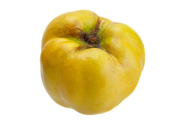 Quince ripe fruit