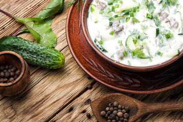 Okroshka,cold summer soup