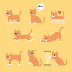 A day of a cute cat. flat design style minimal vector illustration.