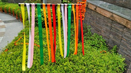 Fototapeta premium Colours