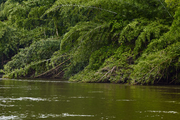 Travel Kanchanaburi river Kwai Yai
