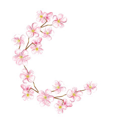 Cherry blossom branch. Watercolor template flower logo.