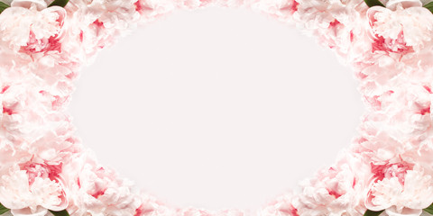 Wide oval frame of delicate white and pink peonies, top view on pinkish backdrop. Flower layout for...