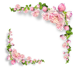 Framework from roses on pink background.Photo with clipping path.