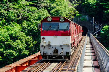 Fototapeta premium 接岨湖の鉄橋を渡る列車