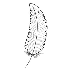 cute bohemian feather decorative icon