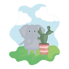cute elephant with exotic cactus in ceramic pot