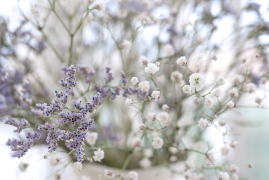 Sprigs of dried flowers of white gypsophila and lilac-blue limoneum in a vase. Close-up, soft focus on individual flowers.
