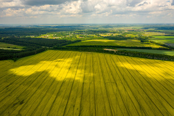 view from the quadcopter on the field of flowering rapeseed with intricate patterns of clouds floating in the sky