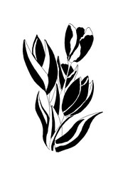 Seamless graphic background with tulips. Hand-painted pen, handmade.