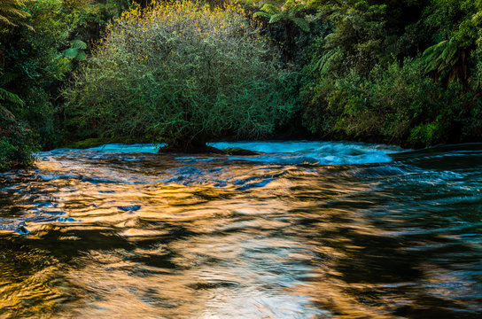 Kaituna River At Dusk 