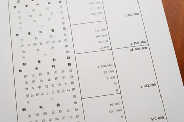 決算報告書　決算書　貸借対照表　ビジネスシーン