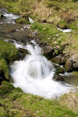 Creek in the Pyrenees