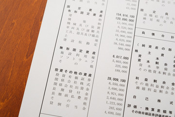 決算報告書　決算書　貸借対照表　ビジネスシーン