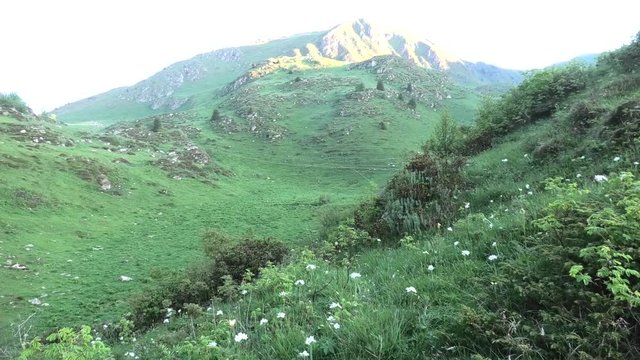 suoni della montagna all'alba
