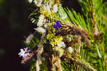 A wreath of wild flowers and herbs is forgotten on a pine branch. Preparing for the Slavic holiday of Ivan Kupala.