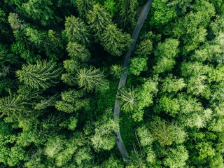 Aerial top view of country road in green summer forest. Rural landscape in Finland.