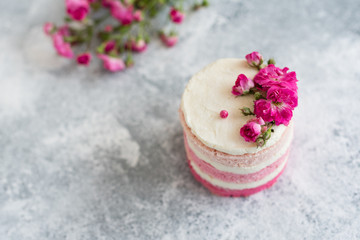 Obraz na płótnie Canvas Beautiful pink cream and berries cake on a light concrete background. Birthday celebration