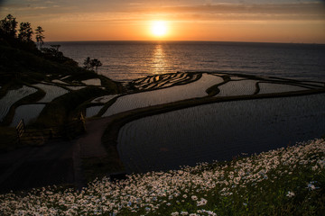 輪島・白米千枚田の夕景