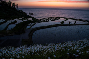 輪島・白米千枚田の夕景