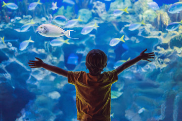 Little boy, kid watching the shoal of fish swimming in oceanarium, children enjoying underwater...