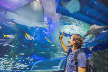 curious tourist watching with interest on shark in oceanarium tunnel