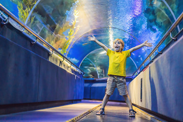 aquarium and boy, visit in oceanarium, underwater tunnel and kid, wildlife underwater indoor,...