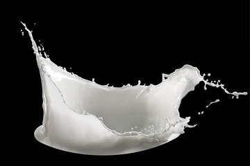 milk splash isolated on black background