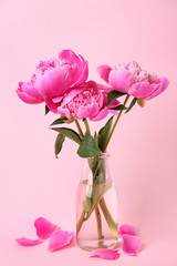 Obraz premium Vase with beautiful peony flowers on color background