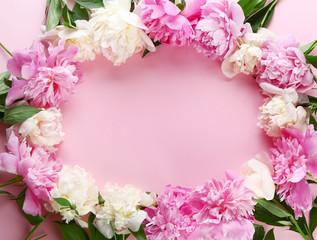Frame made of beautiful fresh peony flowers on color background