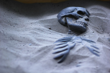 Closeup portrait of excavated skeleton in sand. Archeological dig or police investigation concept