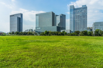 beautiful green meadow near modern office building.