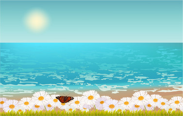 Fototapeta na wymiar Beach View, daisies, butterfly chamomile sky water