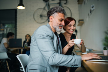 Man and woman having business meeting in a cafe, using laptop.