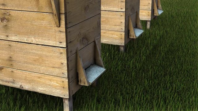 Many beehive-boxs-3D beehive box animation