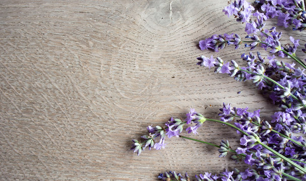 lavender on a wooden background