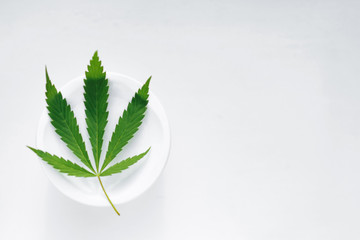 Green cannabis leaf on a jar of cream. Marijuana and hemp paste jar isolated on white. Natural...