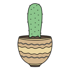 exotic cactus plant in ceramic pot