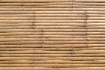 Bamboo panel texture