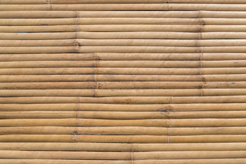 Bamboo panel texture