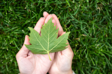 Ecology Concept . Heart , Hands and Leaf