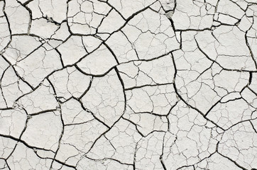 Dry bleached earth in large cracks on a sunny day close-up