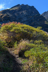 康新道から見た初秋の鳥海山