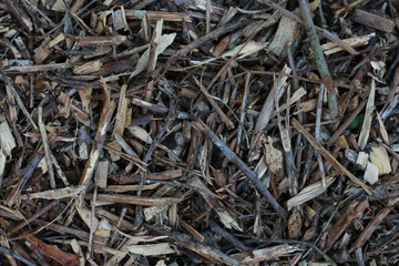 Texture sol de foret avec &eacute;corce et bois